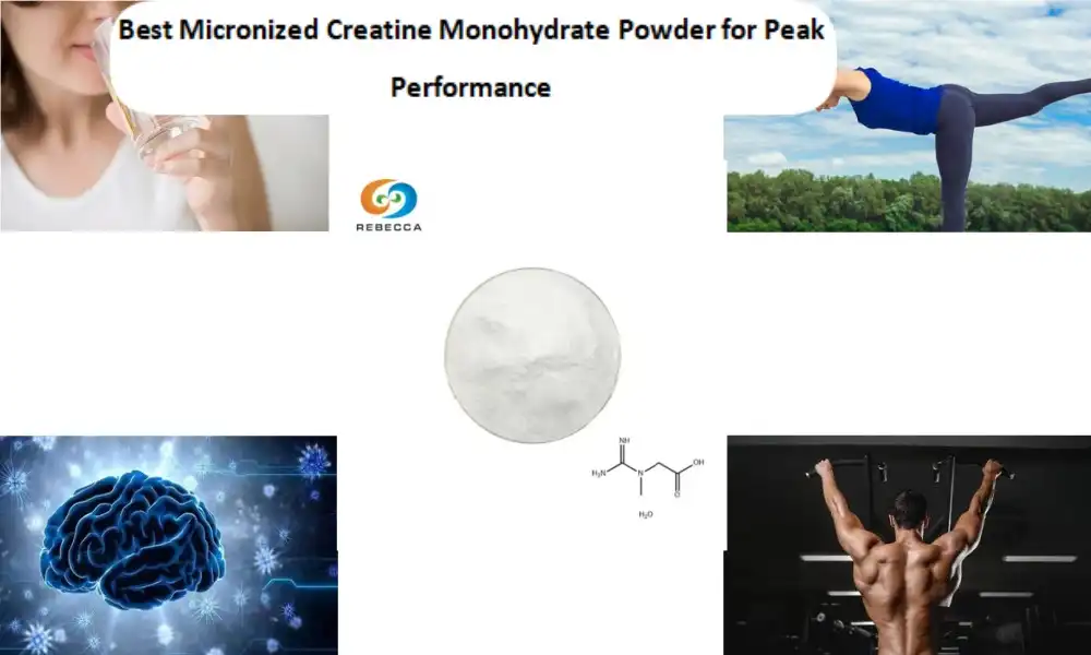 Best Micronized Creatine Monohydrate Powder for Peak Performance